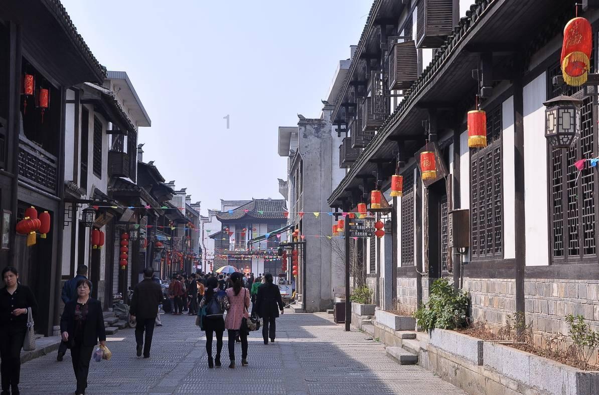 动物帮帮忙保卫家园